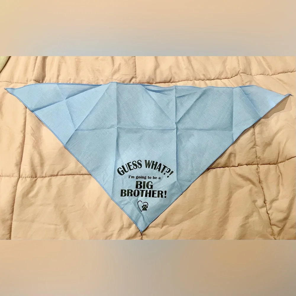 Set of big brother bandanas for pet dog